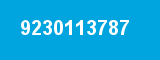 9230113787