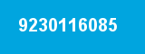 9230116085