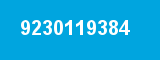 9230119384