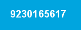 9230165617
