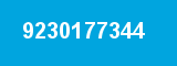 9230177344