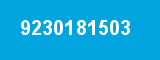9230181503