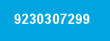 9230307299