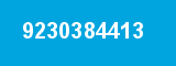 9230384413