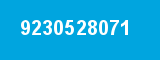 9230528071