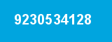 9230534128