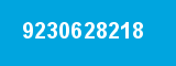 9230628218