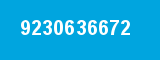 9230636672