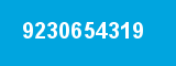 9230654319