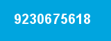 9230675618