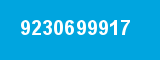 9230699917