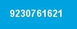 9230761621