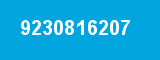 9230816207