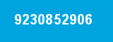 9230852906 9230852906