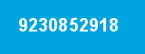 9230852918 9230852918