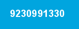 9230991330