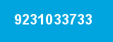 9231033733