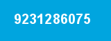 9231286075