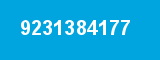 9231384177