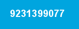 9231399077