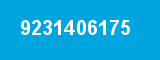 9231406175