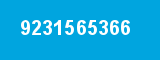 9231565366