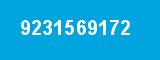 9231569172