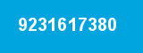 9231617380