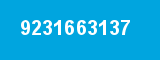 9231663137