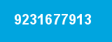 9231677913