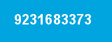 9231683373
