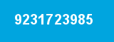 9231723985