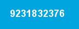 9231832376