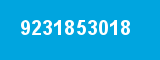 9231853018