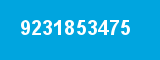 9231853475 9231853475