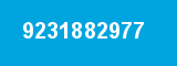 9231882977