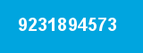 9231894573