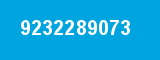 9232289073