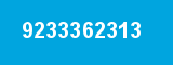 9233362313