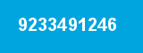9233491246