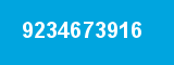 9234673916