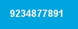 9234877891