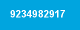 9234982917