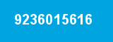 9236015616
