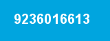 9236016613