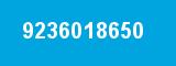 9236018650