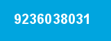 9236038031