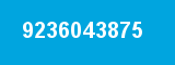 9236043875