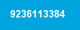 9236113384