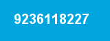 9236118227